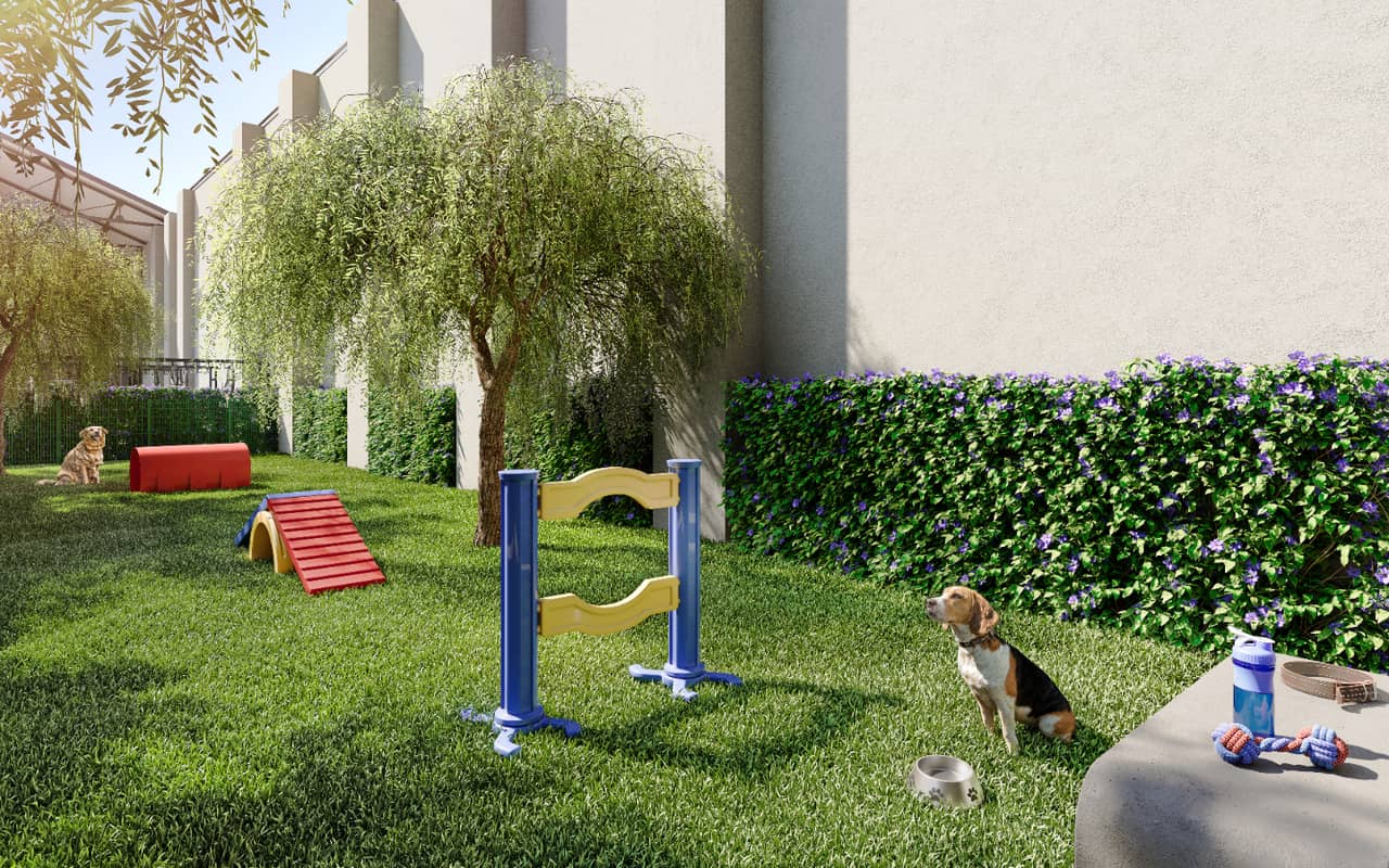 Perspectiva do pet place com gramado, obstáculos de agility e cães